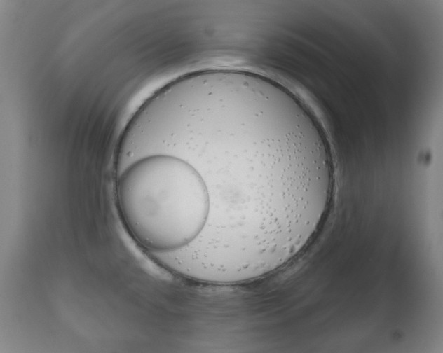 X0000111051432200906251108