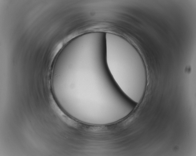 X0000111051434200906251108