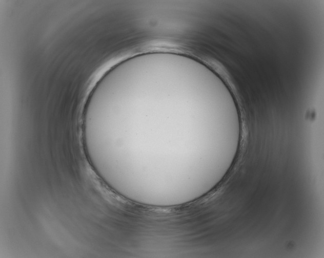 X0000111051435200906251108