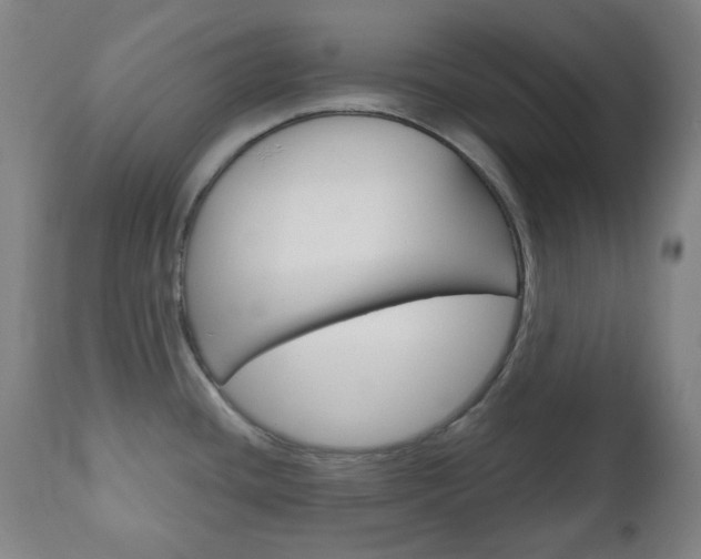 X0000111051436200906251108
