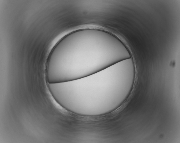 X0000111051438200906251108