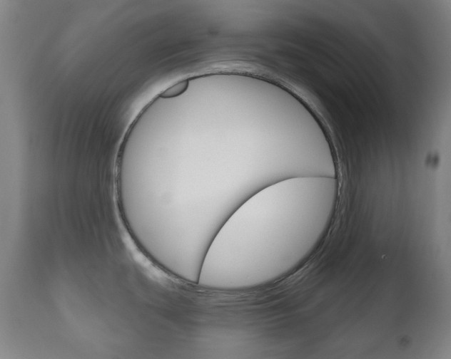 X0000111051439200906251108