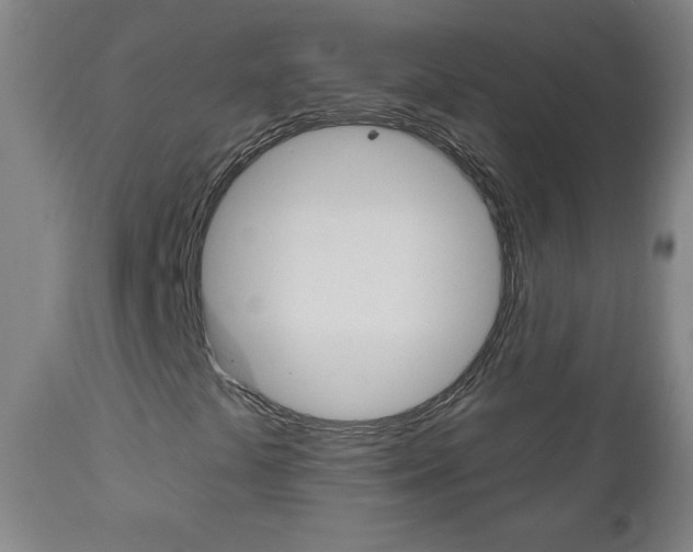X0000111051441200906251107