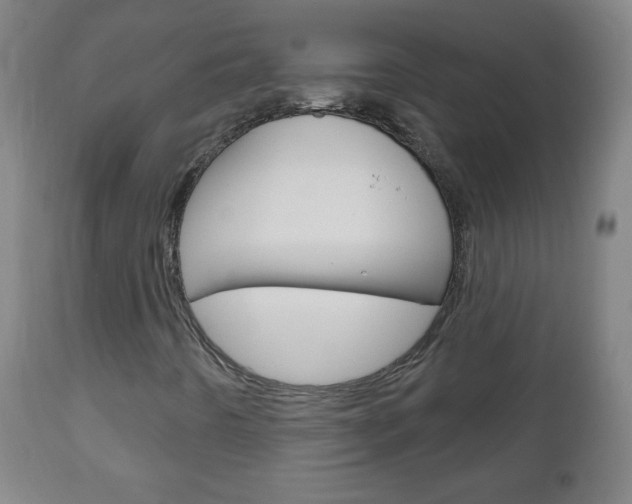 X0000111051442200906251107