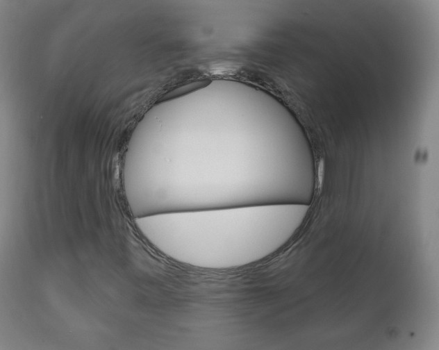 X0000111051443200906251107