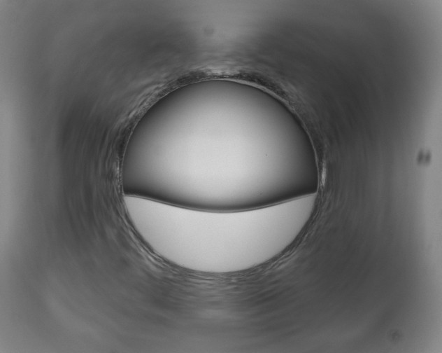 X0000111051444200906251107