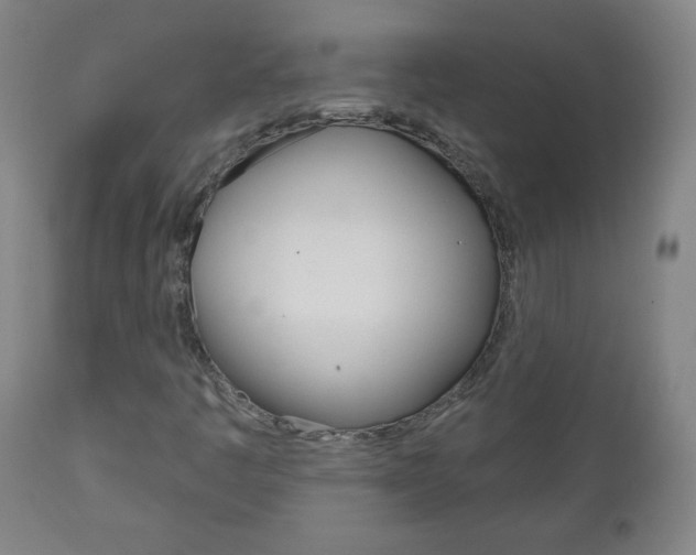 X0000111051445200906251107