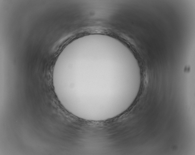 X0000111051446200906251107
