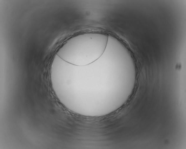 X0000111051447200906251107