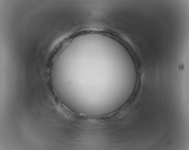 X0000111051448200906251107