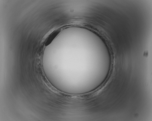 X0000111051449200906251107