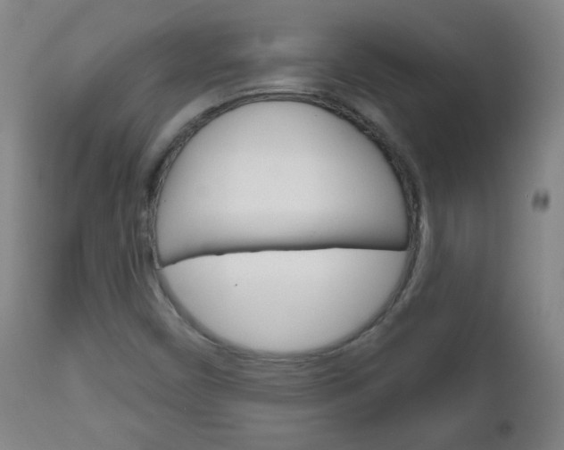 X0000111051450200906251107
