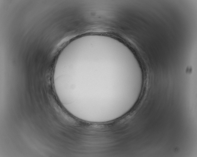 X0000111051451200906251107