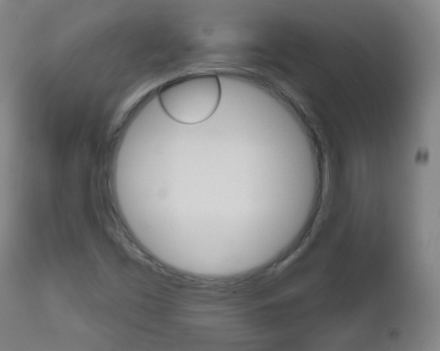 X0000111051453200906251107