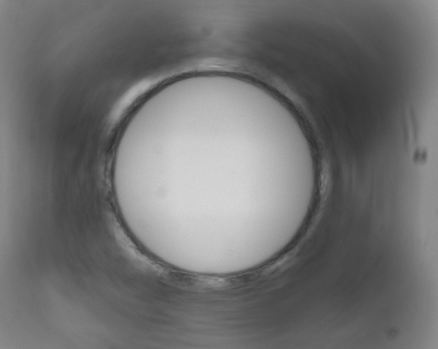 X0000111051454200906251107