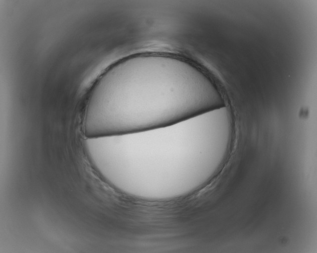 X0000111051455200906251107