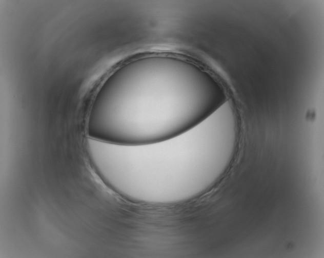 X0000111051456200906251107