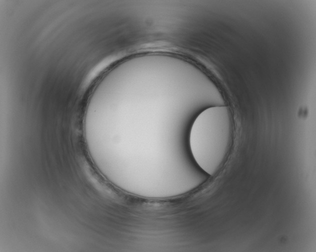 X0000111051458200906251107