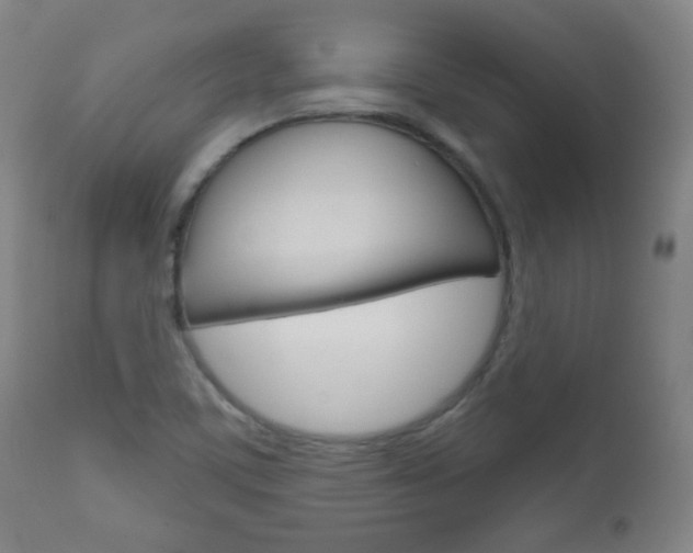X0000111051459200906251107
