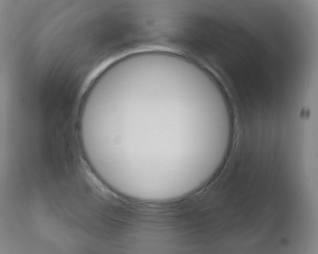 X0000111051460200906251107