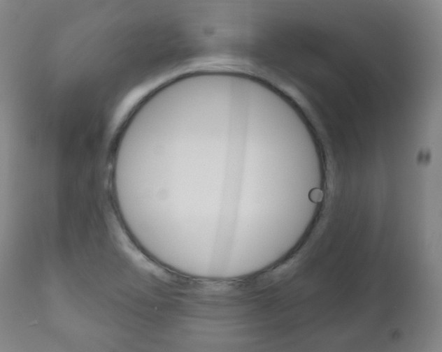 X0000111051462200906251107