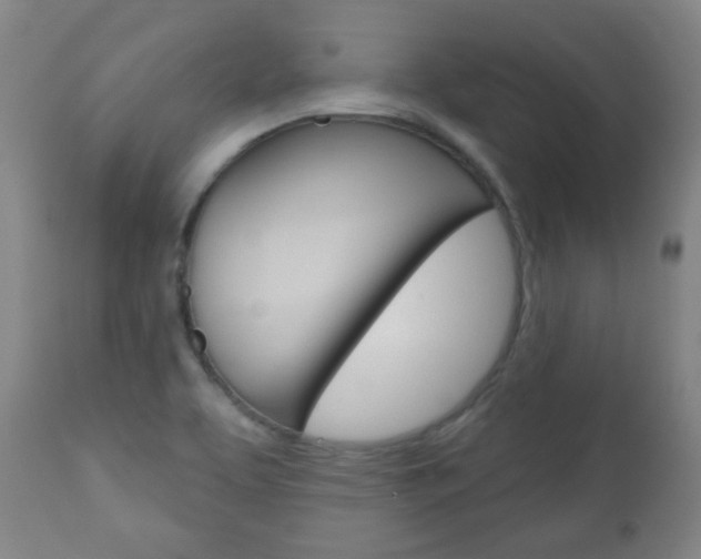 X0000111051463200906251107