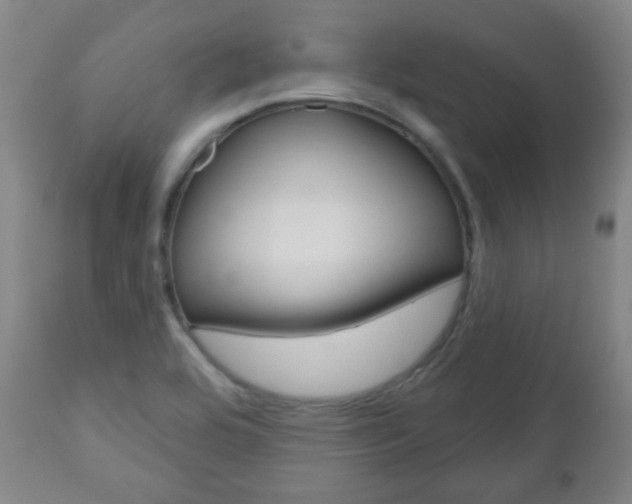 X0000111051464200906251107