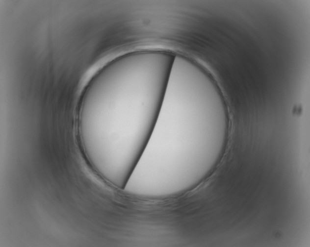 X0000111051467200906251107