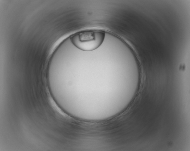 X0000111051468200906251107