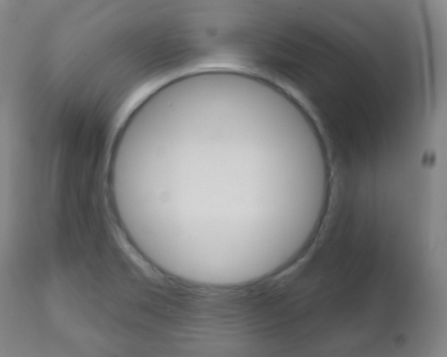 X0000111051469200906251107
