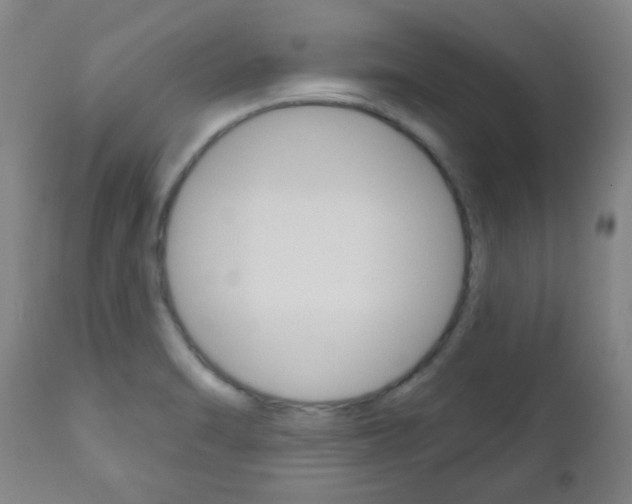 X0000111051470200906251107