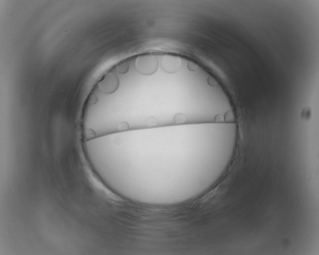 X0000111051471200906251107