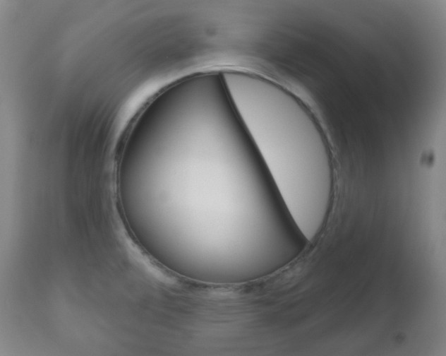 X0000111051472200906251107