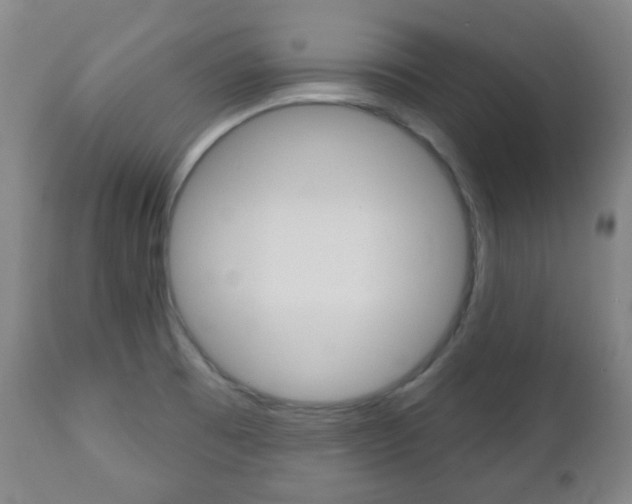 X0000111051473200906251107