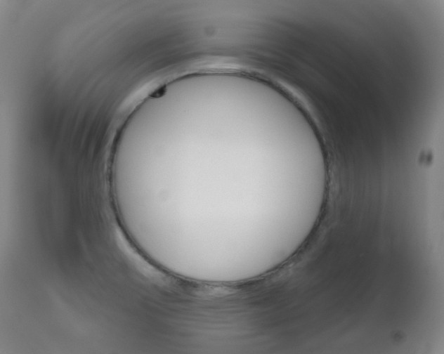 X0000111051475200906251107
