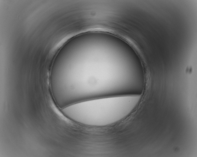 X0000111051476200906251107
