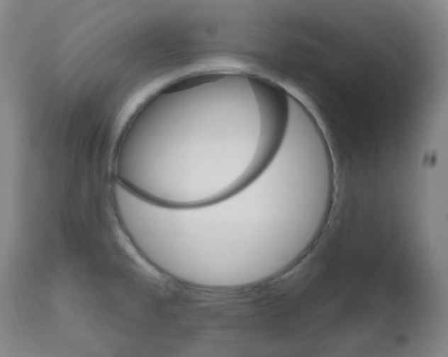 X0000111051477200906251106