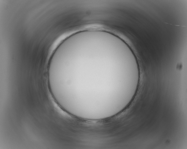 X0000111051478200906251106