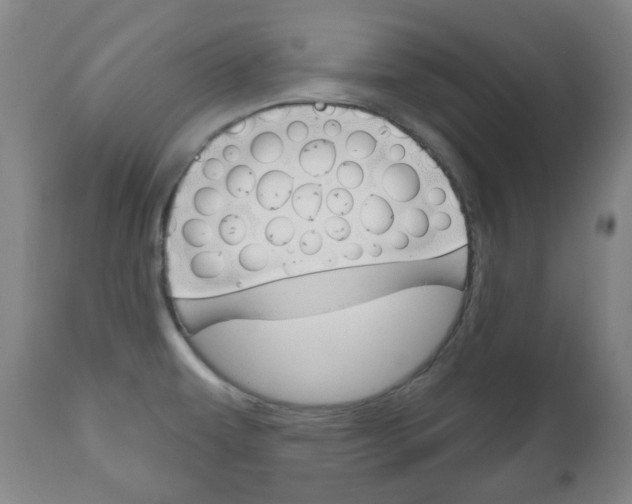 X0000111051479200906251106