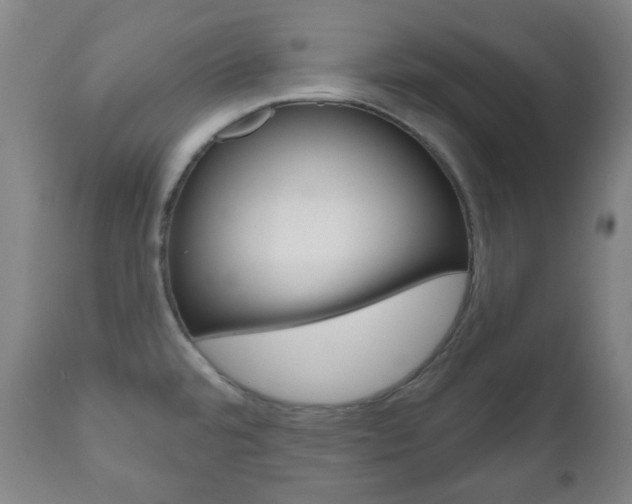 X0000111051480200906251106