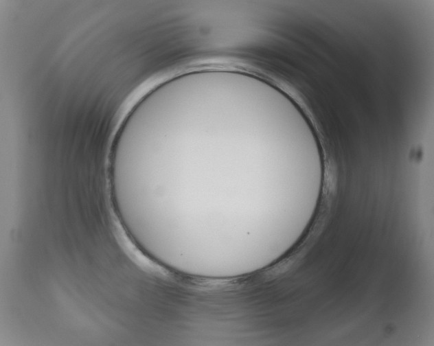 X0000111051482200906251106
