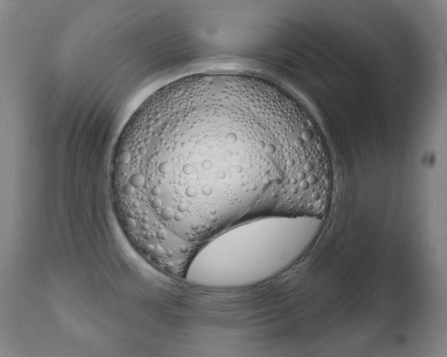 X0000111051483200906251106