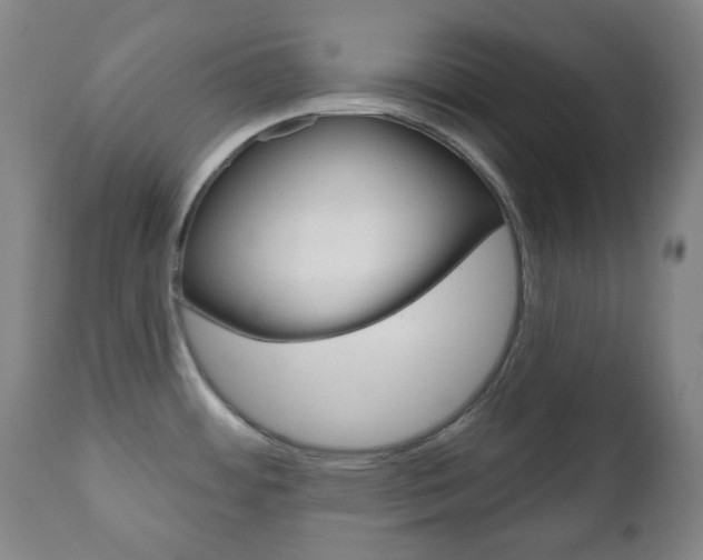 X0000111051484200906251106