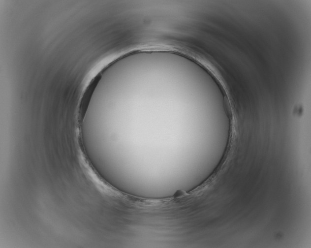 X0000111051485200906251106