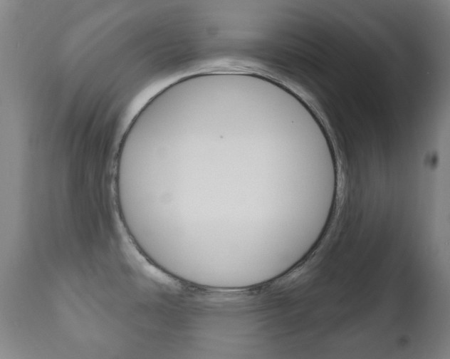 X0000111051486200906251106