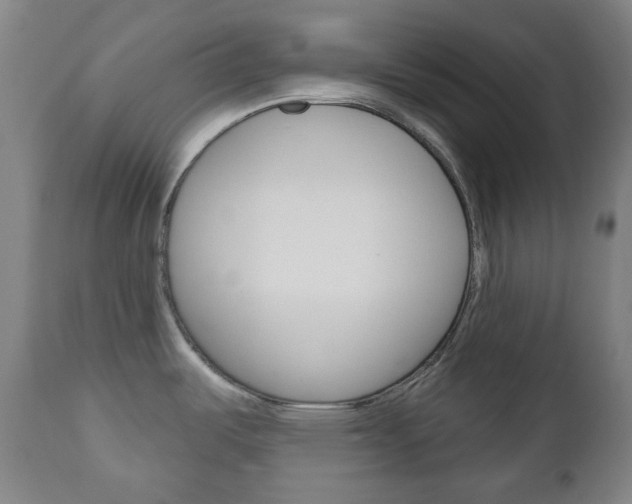X0000111051487200906251106