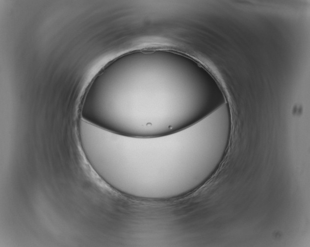 X0000111051488200906251106