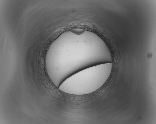 X0000111051489200906251106