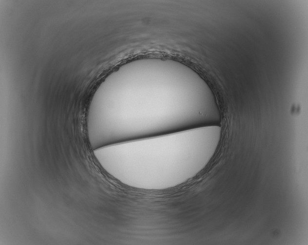 X0000111051490200906251106