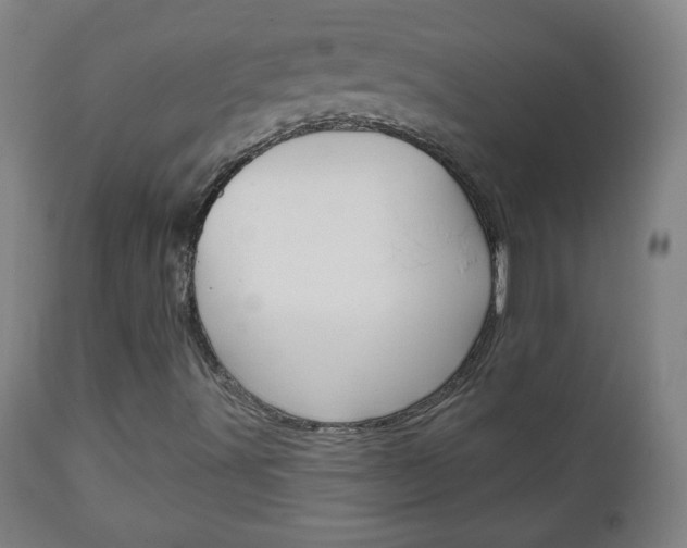 X0000111051491200906251106
